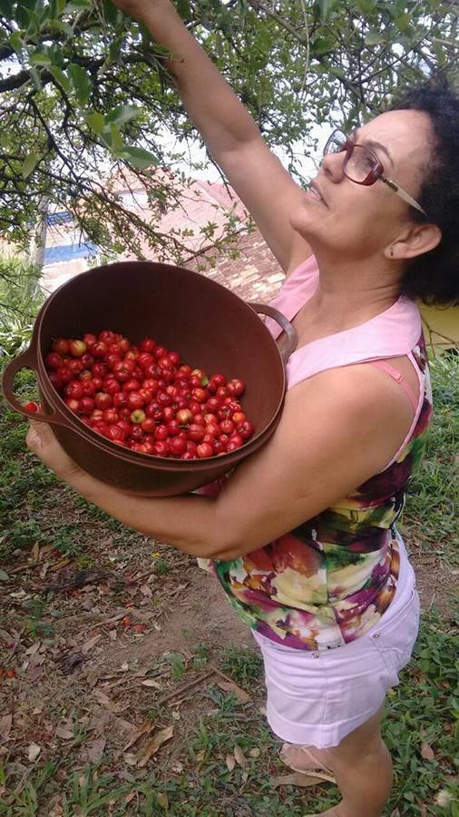 Pousada Vida Simples Paulas Eksteriør billede